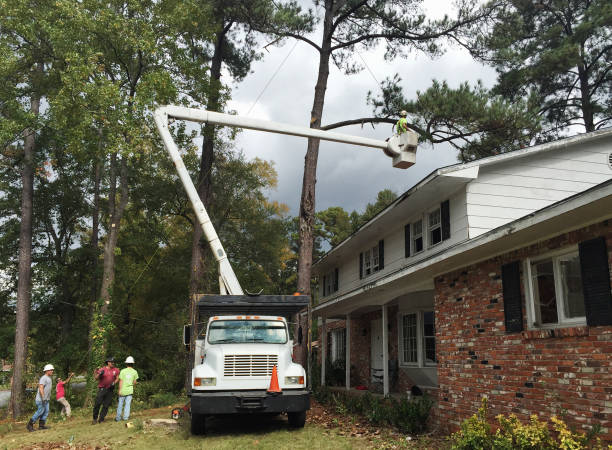 Best Storm Damage Tree Cleanup  in Kennett Square, PA